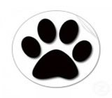 pet-shops-em-rio-claro